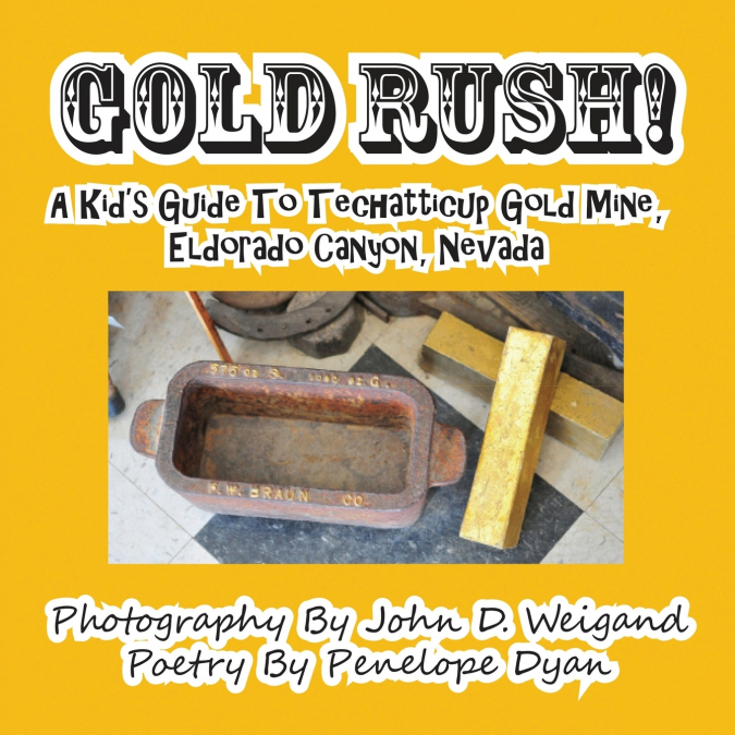 Gold Rush! A Kid’s Guide To Techatticup Gold Mine, Eldorado Canyon, Nevada