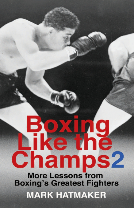 Boxing Like the Champs 2