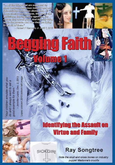 Begging Faith  (Vol. 1, Lipstick and War Crimes Series)