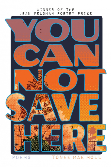 You Cannot Save Here