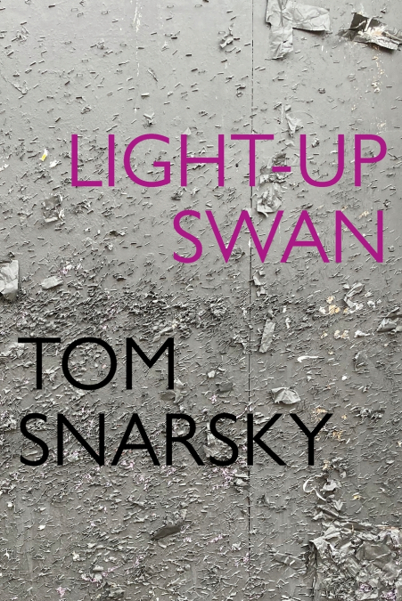 Light-Up Swan