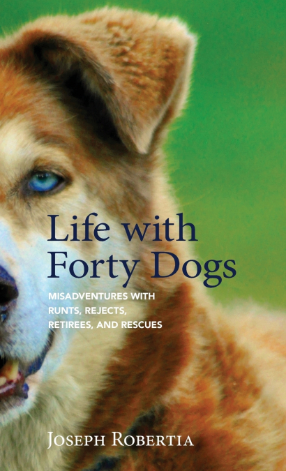 Life with Forty Dogs