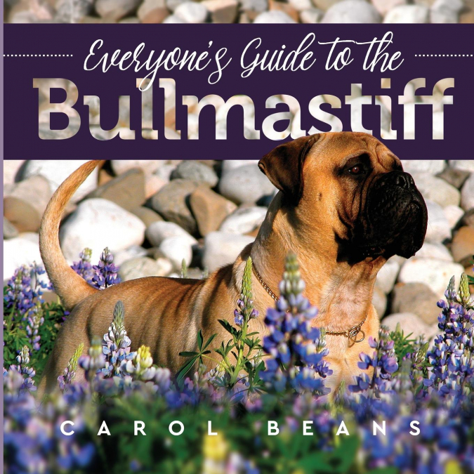 Everyone’s Guide to the Bullmastiff