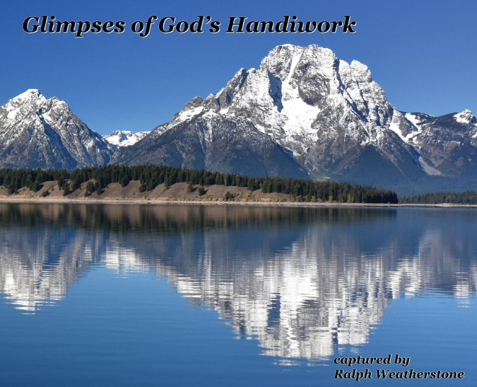 Glimpses of God's Handiwork