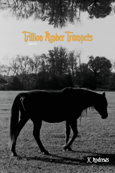 Trillion Amber Trumpets