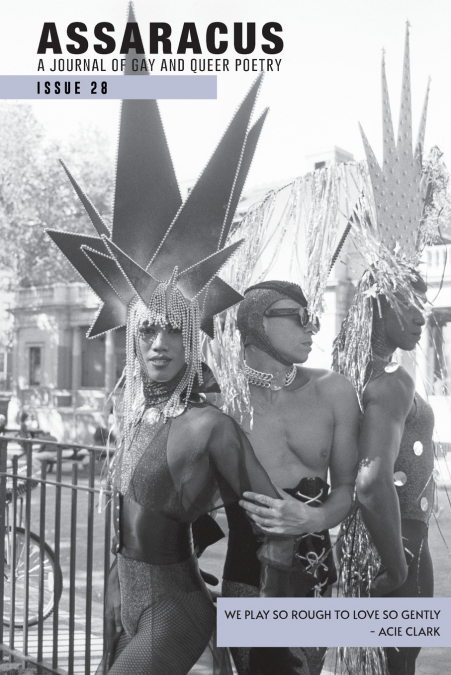 Assaracus Issue 28