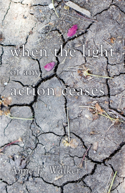 when the light of any action ceases