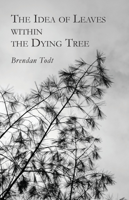 The Idea of Leaves Within the Dying Tree