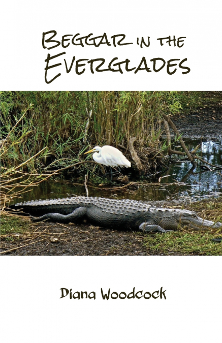 Beggar in the Everglades
