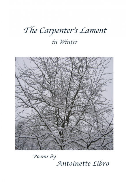 The Carpenter’s Lament in Winter