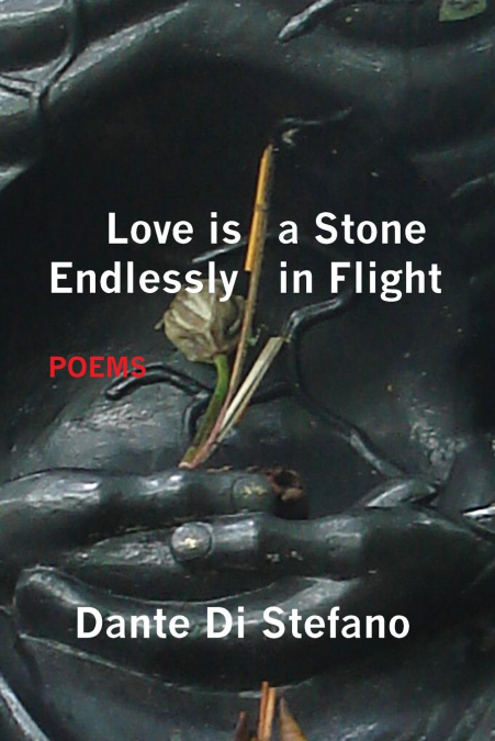 Love Is a Stone Endlessly in Flight