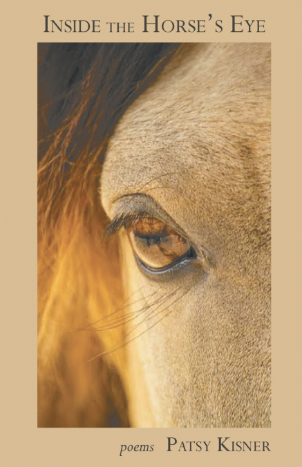 Inside the Horse’s Eye
