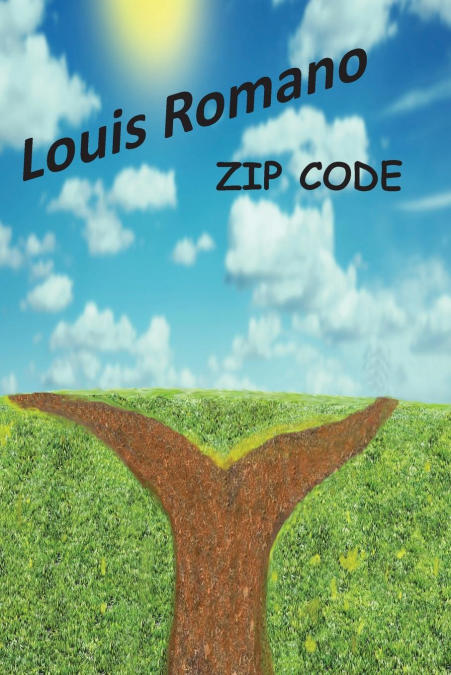 ZIP CODE