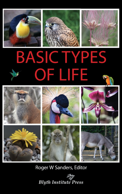 Basic Types of Life