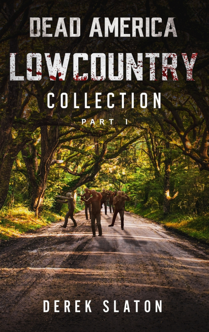Dead America Lowcountry Collection Part 1 - Books 1 - 6