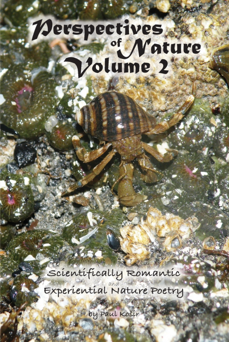 Perspectives of Nature Volume 2