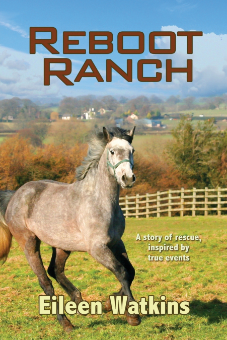 Reboot Ranch