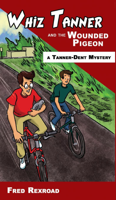 Whiz Tanner and the Wounded Pigeon