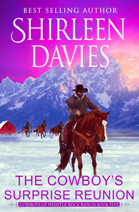 The Cowboy’s Surprise Reunion