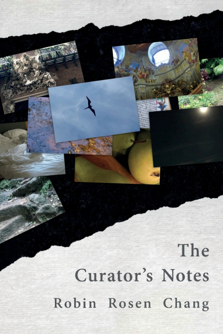 The Curator’s Notes