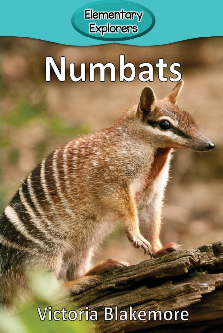 Numbats