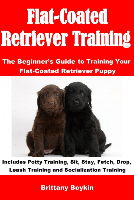 Flat-Coated Retriever Training