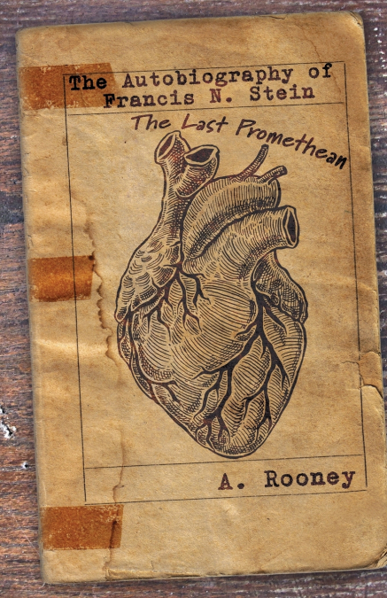 The Autobiography of Francis N. Stein