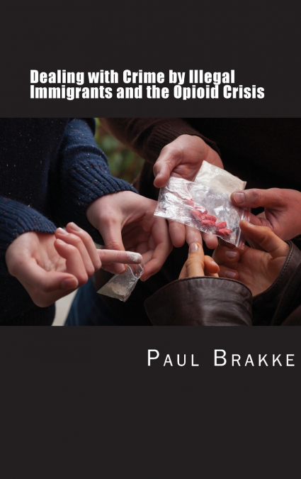 Dealing with Crime by Illegal Immigrants and the Opioid Crisis