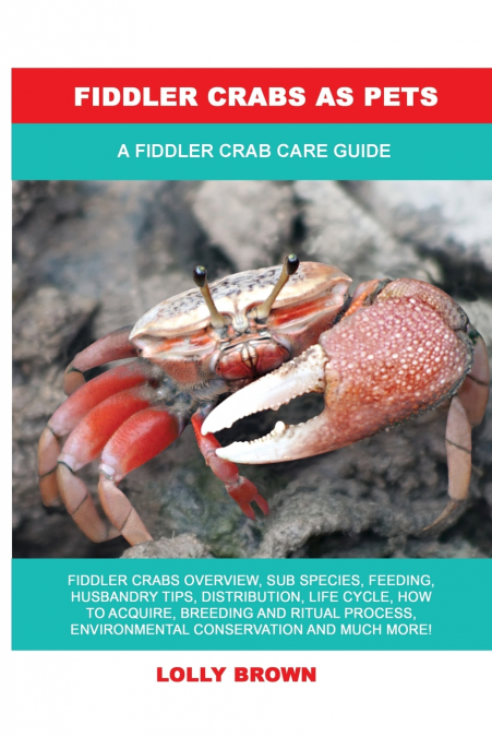 Fiddler Crabs as Pets
