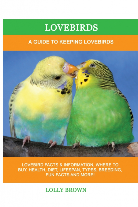 Lovebirds