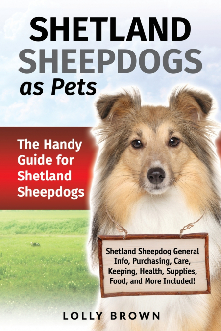 Shetland Sheepdogs as Pets