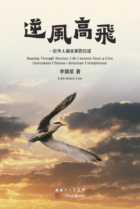 逆风高飞