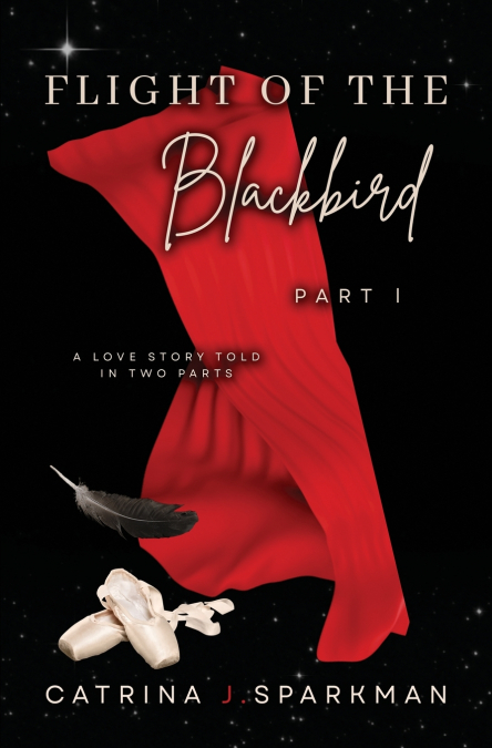 Flight of the Blackbird Part I