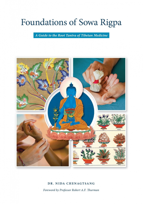 Foundations of Sowa Rigpa