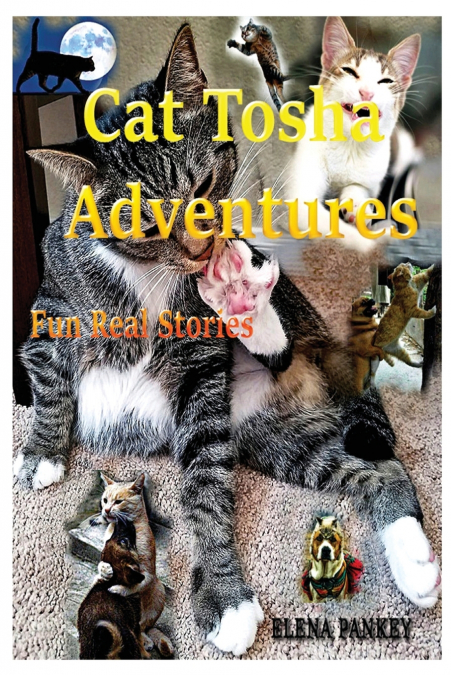 Cat Tosha Adventures