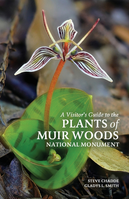 A Visitor’s Guide to the Plants of Muir Woods National Monument