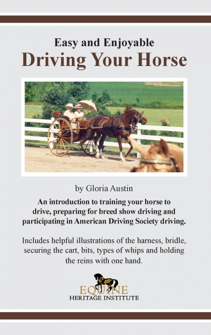 Easy and Enjoyable Driving Your Horse