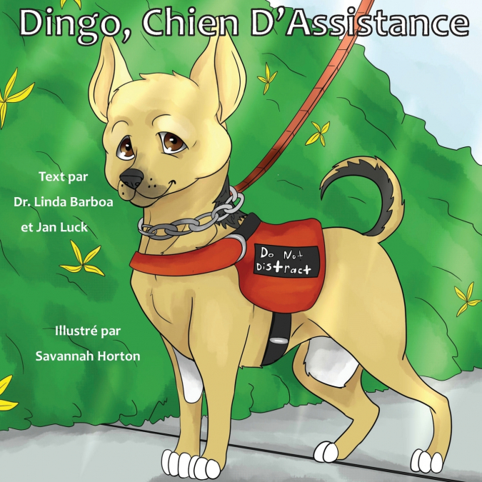 Dingo, Chien D’Assistance