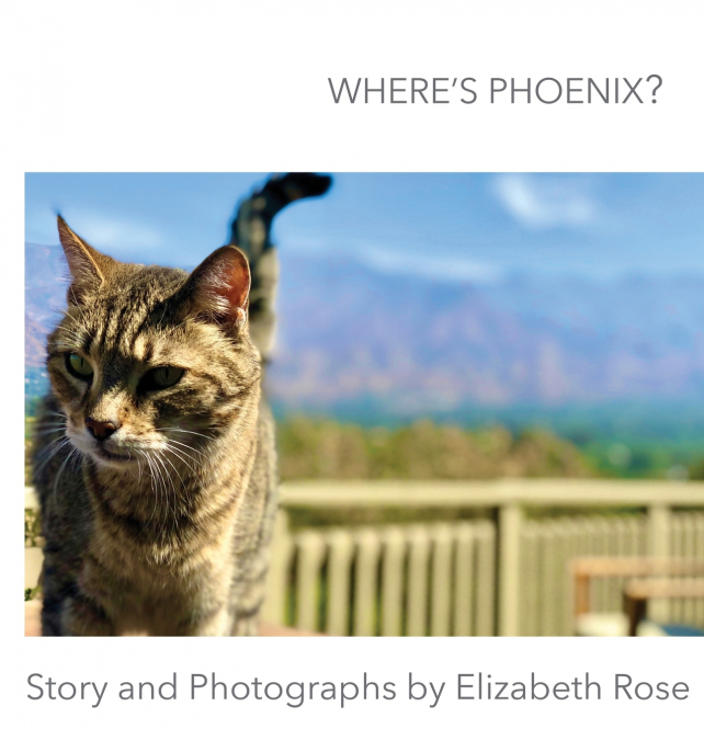 Where’s Phoenix?