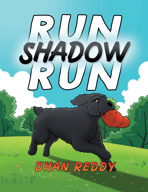 Run Shadow Run