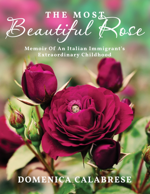 The Most Beautiful Rose