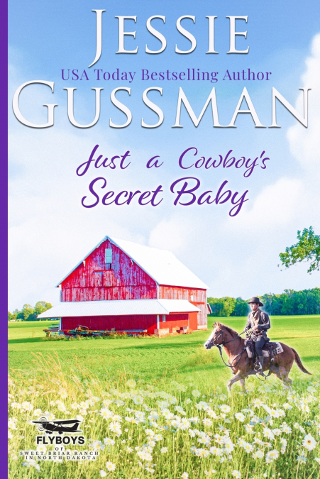 Just a Cowboy’s Secret Baby (Sweet Western Christian Romance Book 6) (Flyboys of Sweet Briar Ranch in North Dakota)