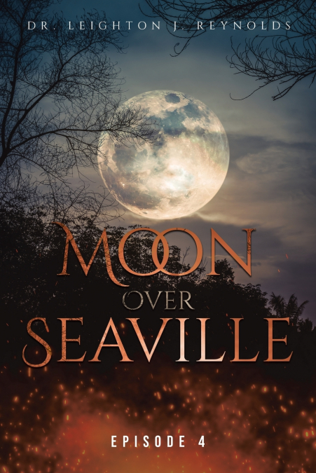 Moon over Seaville