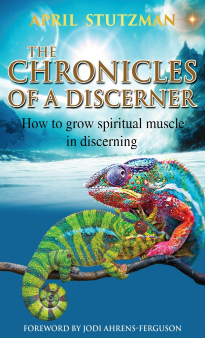 The Chronicles of a Discerner