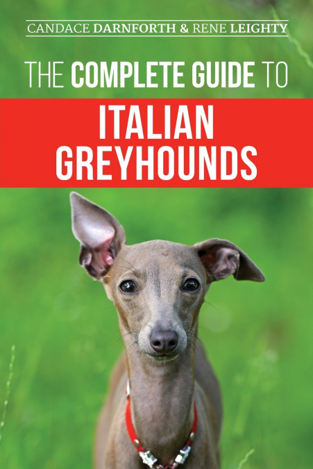 The Complete Guide to Italian Greyhounds