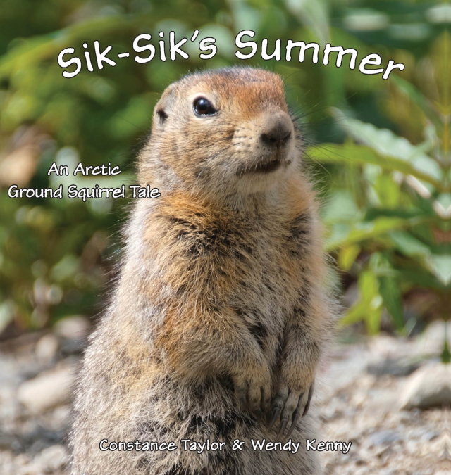 Sik-Sik’s Summer