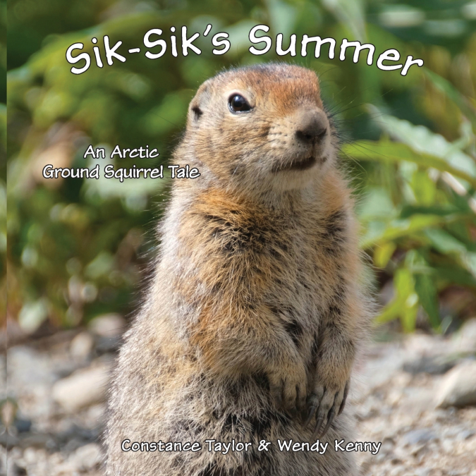 Sik-Sik’s Summer