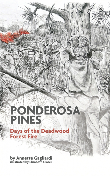 Ponderosa Pines