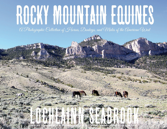 Rocky Mountain Equines