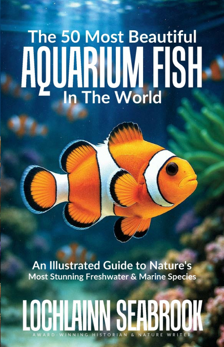 The 50 Most Beautiful Aquarium Fish in the World